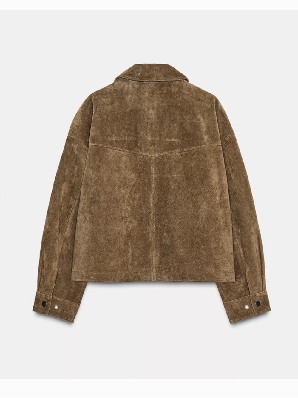 Zara NWT 100% leather bomber jacket 8073/253 - Picture 8 of 14